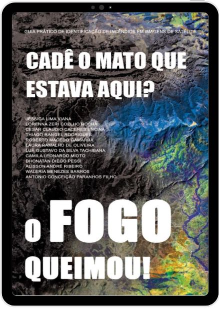 e-book cade o mato que estava aqui? o fogo queimou!
